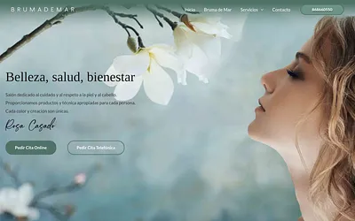 brumademar.es snapshot