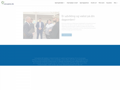 netvaekst.dk snapshot