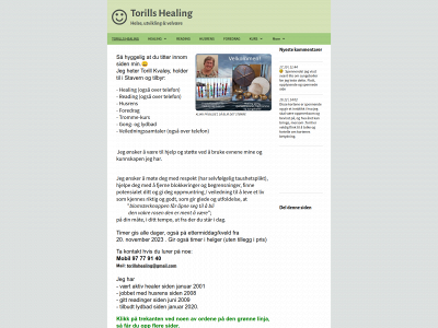 torillshealing.com snapshot