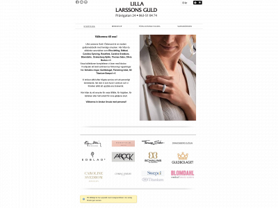 lillalarssonsguld.se snapshot