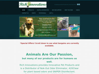 richinnovationsflorida.com snapshot