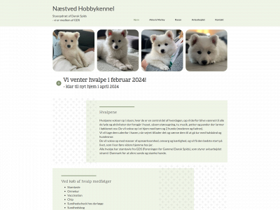 næstvedhobbykennel.dk snapshot