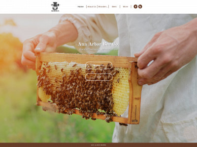 annarborbeeco.com snapshot