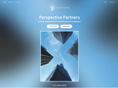 theperspectivepartners.com snapshot