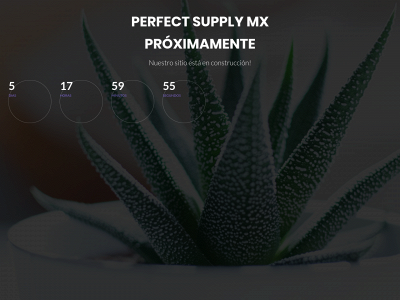 perfectsupply.mx snapshot