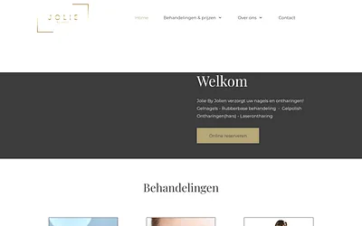 permanenteontharingevergem.be snapshot