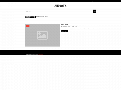 andropy.com snapshot