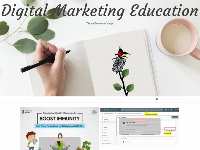 digitalmarketingmodule.com snapshot