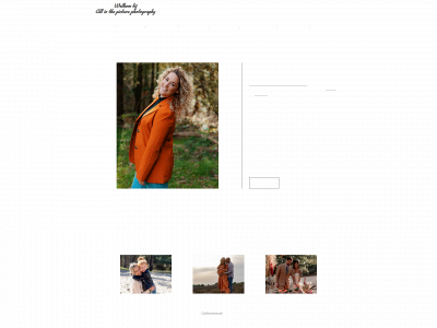 all-in-the-picture.nl snapshot