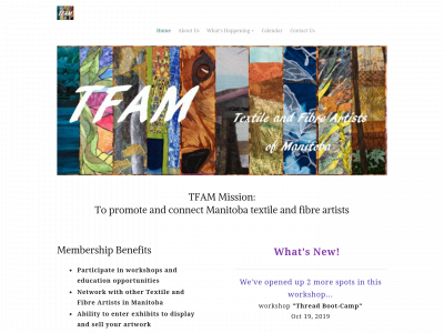 tfamartists.weebly.com snapshot