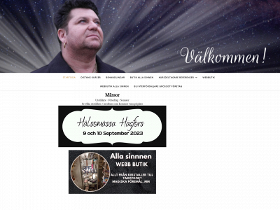trollsveden.com snapshot