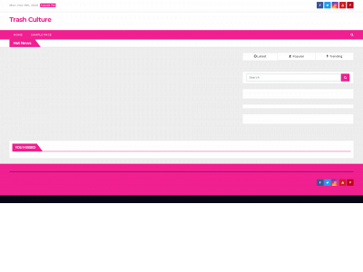 trashyculture.com snapshot