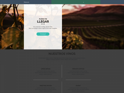 monvin.mx snapshot