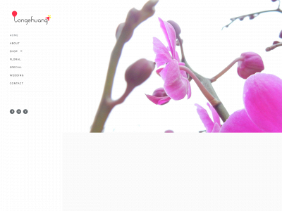 longzhuang.weebly.com snapshot