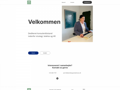 søndergaardadvisory.dk snapshot