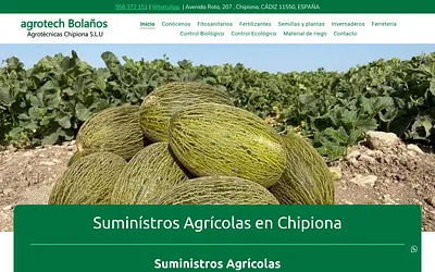 agrotecnicaschipiona.es snapshot