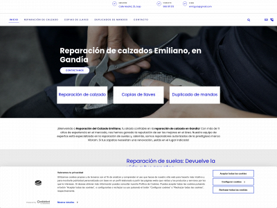 reparacioncalzadoemiliano.es snapshot