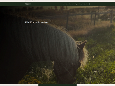 thislifestyleinmotion.se snapshot