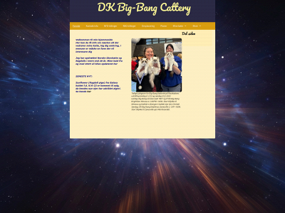 big-bang-cats.dk snapshot