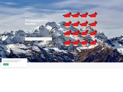 redbird16.com snapshot