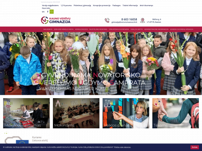 versvugimnazija.lt snapshot