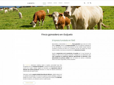 www.elmontito.es snapshot