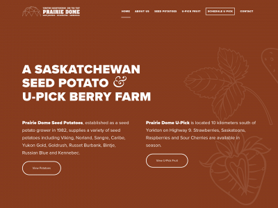 prairiedome.com snapshot