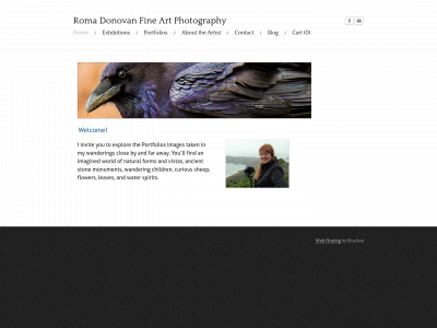 romadonovan.com snapshot