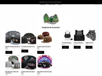 www.puffinpotent.co.uk snapshot