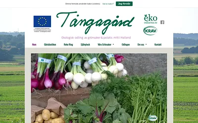 tangagard.se snapshot