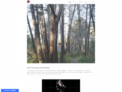 aguglielfmakesart.weebly.com snapshot