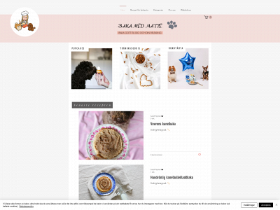 bakamedmatte.se snapshot
