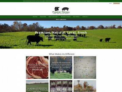 ffnatural.com snapshot