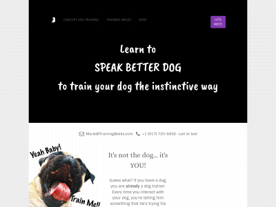 trainingwalks.com snapshot