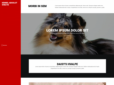 kennelabsolutsheltie.dk snapshot