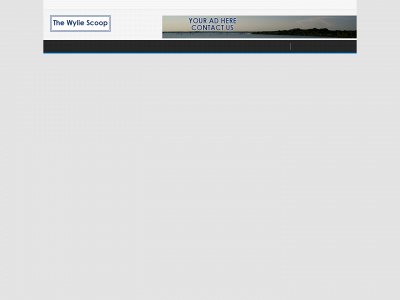 thewyliescoop.com snapshot