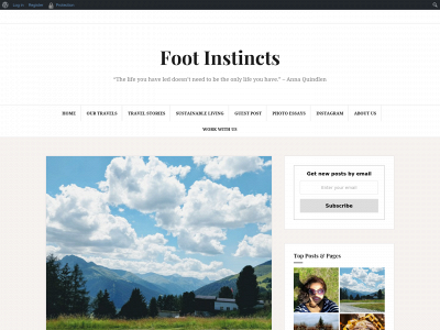 footinstincts.com snapshot