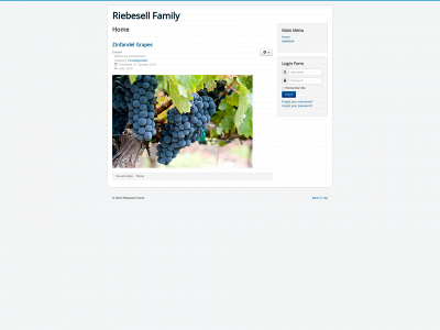 riebesell.com snapshot