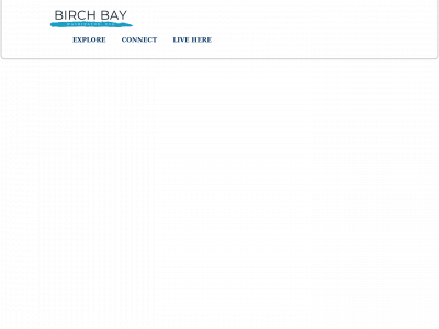 birchbay.com snapshot
