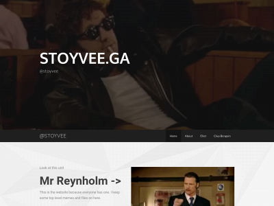 stoyvee.ga snapshot