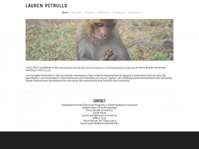 laurenpetrullo.weebly.com snapshot