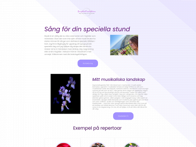 bergartproduktion.se snapshot