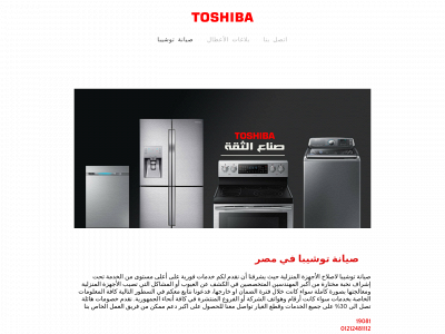 toshibarepair.weebly.com snapshot