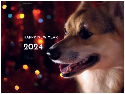 flintworldcraft.nl snapshot