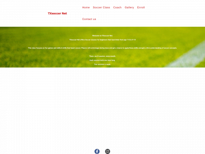 txsoccernet.com snapshot