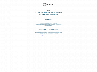 stenløsevinduespolering.dk snapshot