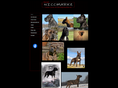 niccmarkz.se snapshot