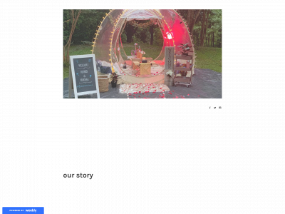 bubbledinn.weebly.com snapshot