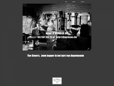 thecleens.be snapshot