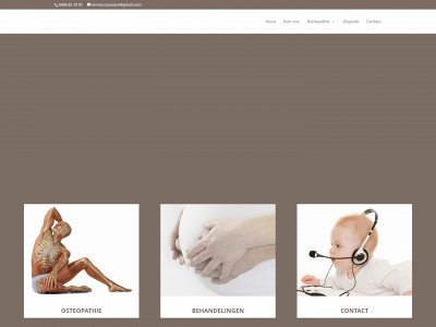 emmatousseyn.be snapshot